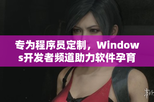 专为程序员定制，Windows开发者频道助力软件孕育成长