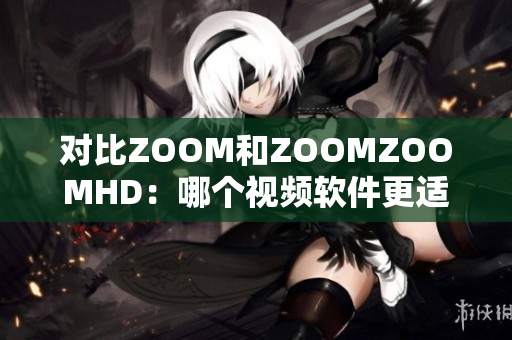 对比ZOOM和ZOOMZOOMHD：哪个视频软件更适合你？