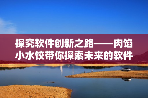探究软件创新之路——肉馅小水饺带你探索未来的软件世界