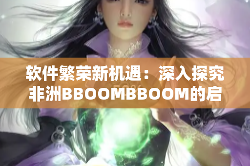 软件繁荣新机遇：深入探究非洲BBOOMBBOOM的启示