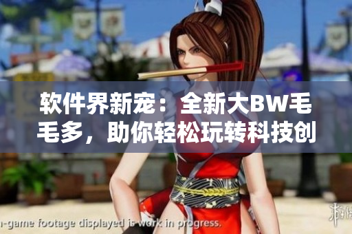 软件界新宠：全新大BW毛毛多，助你轻松玩转科技创新
