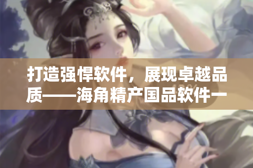 打造强悍软件，展现卓越品质——海角精产国品软件一二三