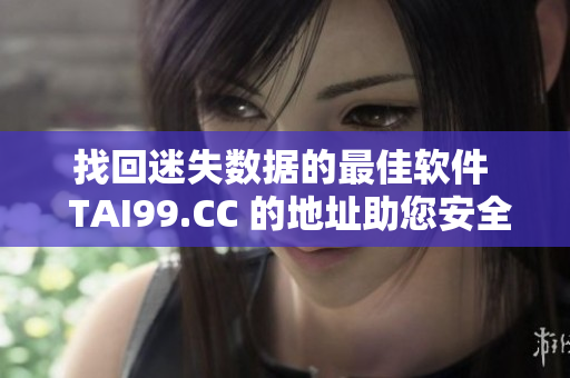 找回迷失数据的最佳软件  TAI99.CC 的地址助您安全存储数据