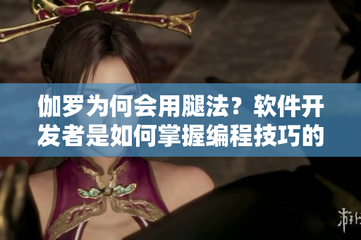 伽罗为何会用腿法？软件开发者是如何掌握编程技巧的？——一个编者的思考