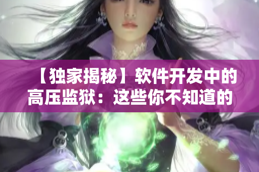【独家揭秘】软件开发中的高压监狱：这些你不知道的黑科技！