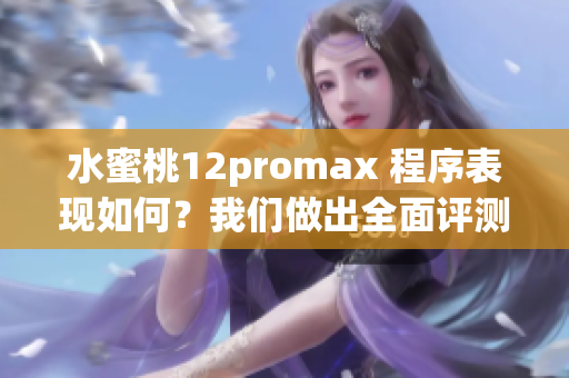 水蜜桃12promax 程序表现如何？我们做出全面评测！