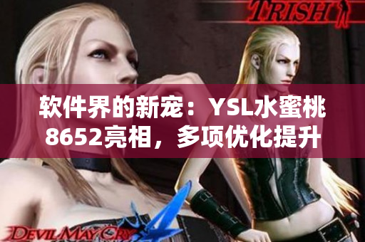 软件界的新宠：YSL水蜜桃8652亮相，多项优化提升工作效率