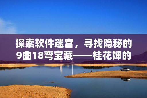 探索软件迷宫，寻找隐秘的9曲18弯宝藏——桂花婶的软件宝贝