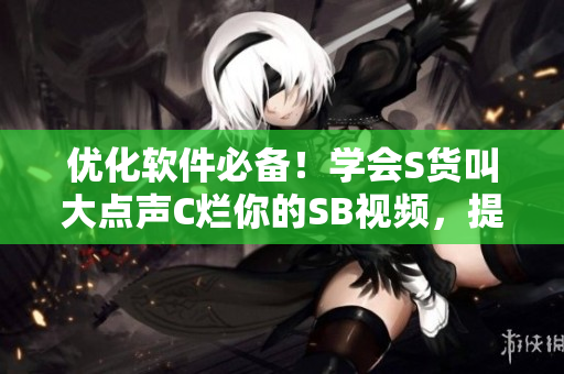 优化软件必备！学会S货叫大点声C烂你的SB视频，提升电脑性能