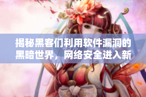 揭秘黑客们利用软件漏洞的黑暗世界，网络安全进入新阶段
