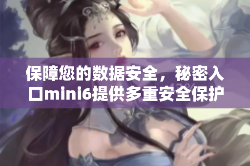 保障您的数据安全，秘密入口mini6提供多重安全保护