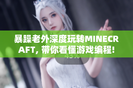 暴躁老外深度玩转MINECRAFT, 带你看懂游戏编程!