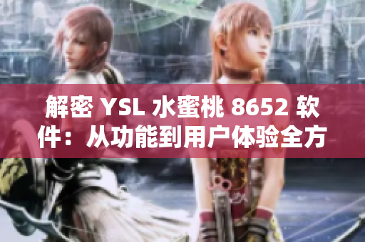解密 YSL 水蜜桃 8652 软件：从功能到用户体验全方位概述