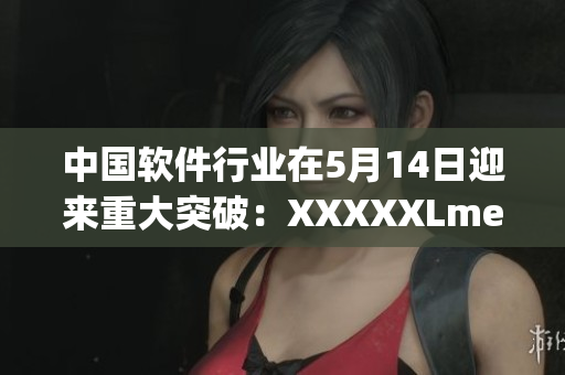 中国软件行业在5月14日迎来重大突破：XXXXXLmedjyf