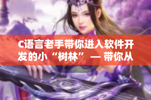 C语言老手带你进入软件开发的小“树林” — 带你从零开始学习软件开发