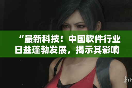 “最新科技！中国软件行业日益蓬勃发展，揭示其影响力的全面分析”