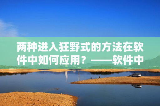 两种进入狂野式的方法在软件中如何应用？——软件中的狂野式入门指南