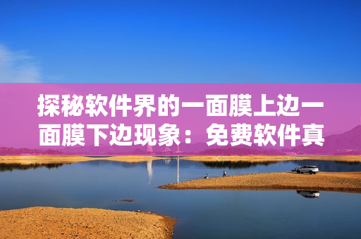 探秘软件界的一面膜上边一面膜下边现象：免费软件真的能免费吗？