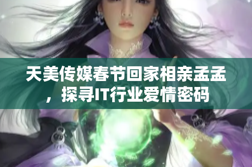 天美传媒春节回家相亲孟孟，探寻IT行业爱情密码