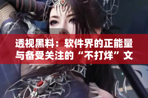 透视黑料：软件界的正能量与备受关注的“不打烊”文化
