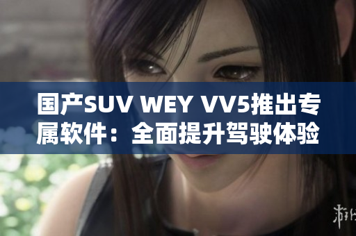 国产SUV WEY VV5推出专属软件：全面提升驾驶体验！