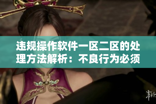 违规操作软件一区二区的处理方法解析：不良行为必须得到处罚