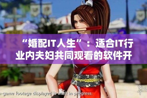 “婚配IT人生”：适合IT行业内夫妇共同观看的软件开发电视剧
