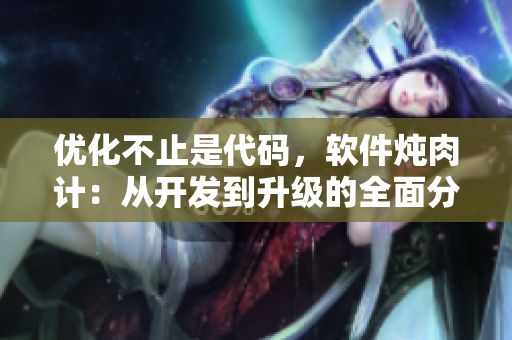 优化不止是代码，软件炖肉计：从开发到升级的全面分析