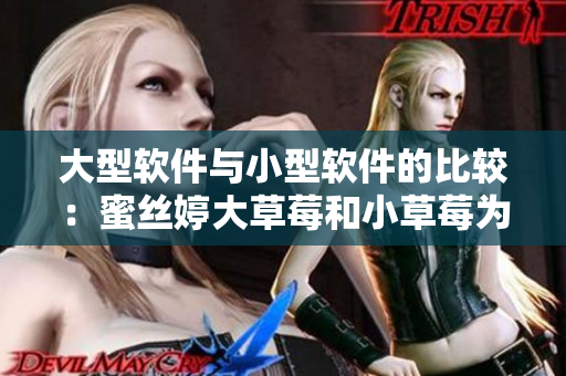 大型软件与小型软件的比较：蜜丝婷大草莓和小草莓为例