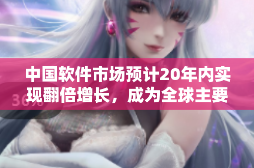 中国软件市场预计20年内实现翻倍增长，成为全球主要软件出口国
