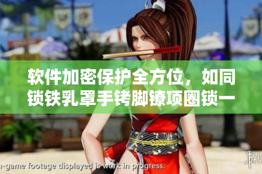 软件加密保护全方位，如同锁铁乳罩手铐脚镣项圈锁一般牢不可破