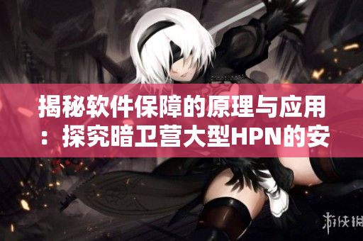 揭秘软件保障的原理与应用：探究暗卫营大型HPN的安全架构