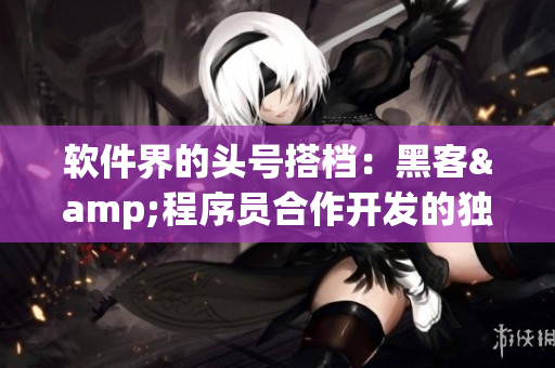 软件界的头号搭档：黑客&程序员合作开发的独特特点