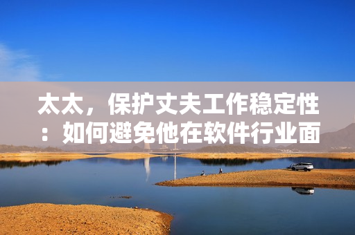 太太，保护丈夫工作稳定性：如何避免他在软件行业面临解雇的风险