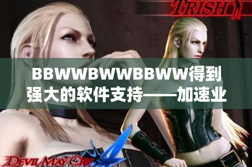 BBWWBWWBBWW得到强大的软件支持——加速业务运营