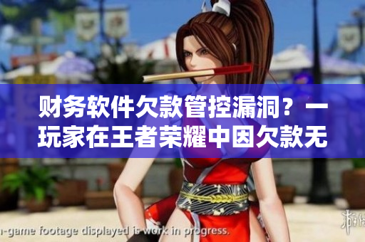 财务软件欠款管控漏洞？一玩家在王者荣耀中因欠款无法偿还