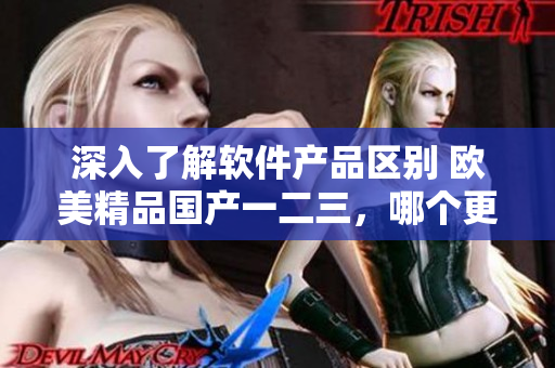 深入了解软件产品区别 欧美精品国产一二三，哪个更适合你？