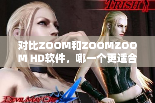 对比ZOOM和ZOOMZOOM HD软件，哪一个更适合您？