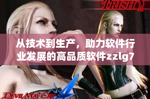 从技术到生产，助力软件行业发展的高品质软件zzlg77777