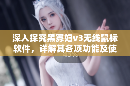 深入探究黑寡妇v3无线鼠标软件，详解其各项功能及使用技巧