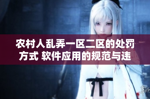 农村人乱弄一区二区的处罚方式 软件应用的规范与违规处置