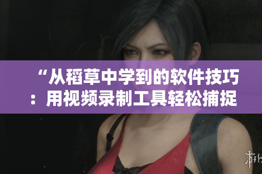“从稻草中学到的软件技巧：用视频录制工具轻松捕捉屏幕操作”