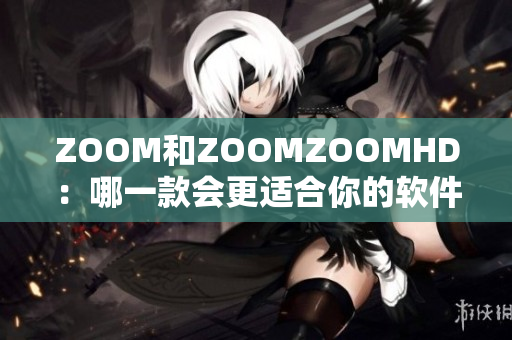 ZOOM和ZOOMZOOMHD：哪一款会更适合你的软件会议需求？