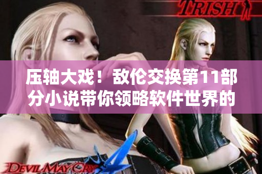 压轴大戏！敌伦交换第11部分小说带你领略软件世界的新境界！
