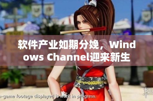软件产业如期分娩，Windows Channel迎来新生