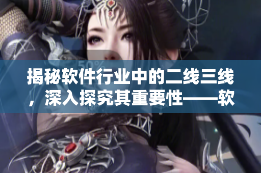 揭秘软件行业中的二线三线，深入探究其重要性——软件篇