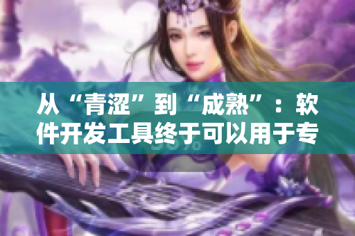 从“青涩”到“成熟”：软件开发工具终于可以用于专业项目了