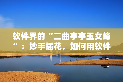 软件界的“二曲亭亭玉女峰”：妙手插花，如何用软件编织创意？
