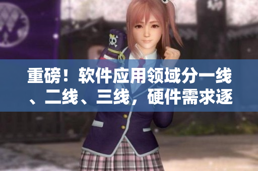重磅！软件应用领域分一线、二线、三线，硬件需求逐级提升