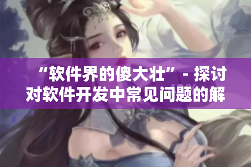 “软件界的傻大壮”- 探讨对软件开发中常见问题的解决方案